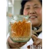 江蘇蟲草瓶廠家，蟲草培養(yǎng)瓶，冬蟲夏草瓶，蟲草瓶批發(fā)