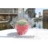 豫科特質（鏡子）專用蒙砂膏