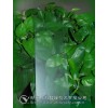 供應平板玻璃蒙砂粉（漸變蒙砂效果）