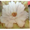 玻璃屏風印花機參數