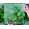 無手印（辦公桌面）專用蒙砂粉