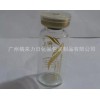 10毫升優質壓蓋安瓶配金色組合蓋提供燙金工藝
