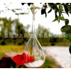 夢之雨 微景觀生態瓶 多肉植物玻璃花瓶 可懸掛吊瓶 廠家批發